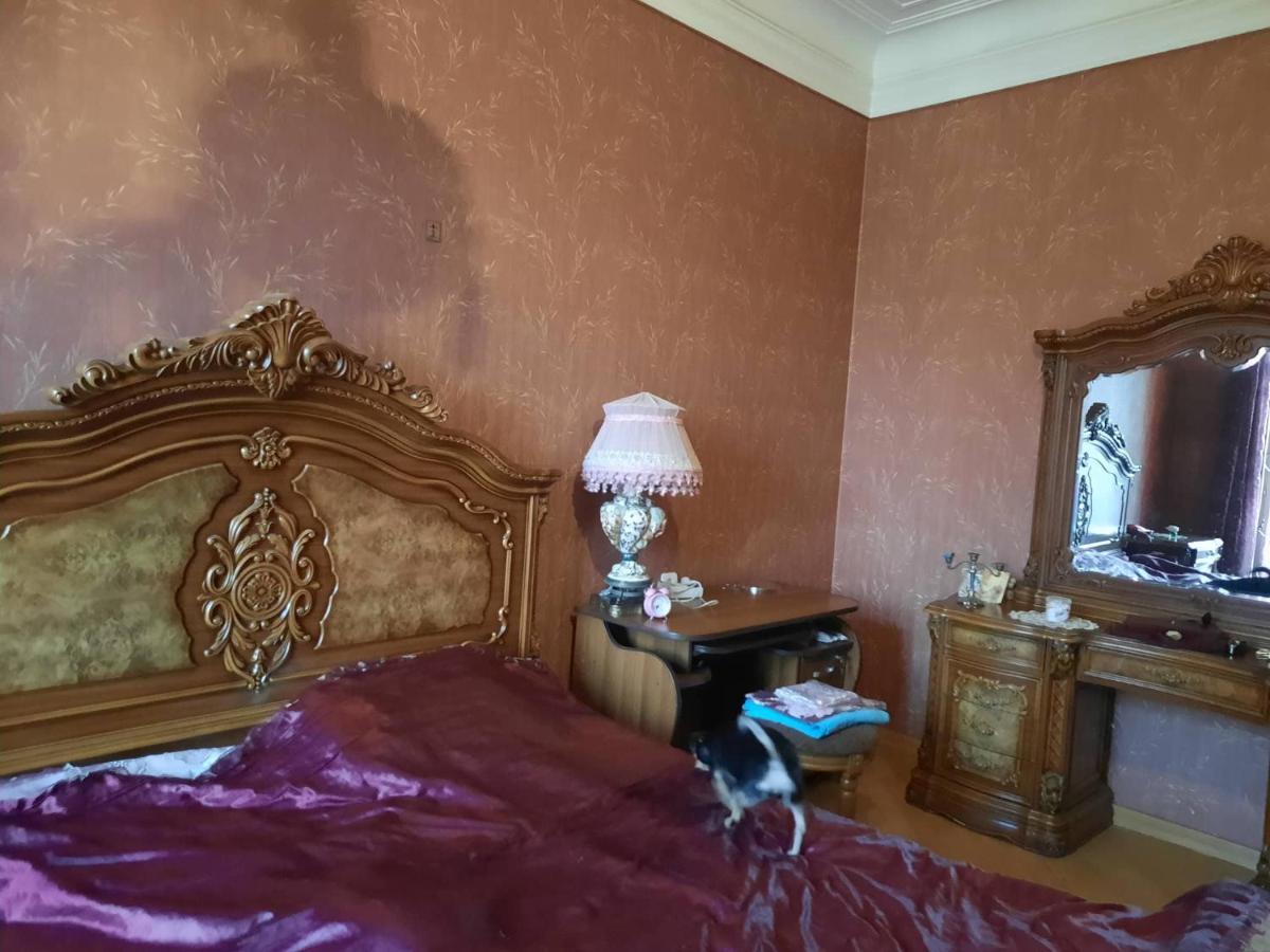 Tbilisi Philharmonia Apartment المظهر الخارجي الصورة