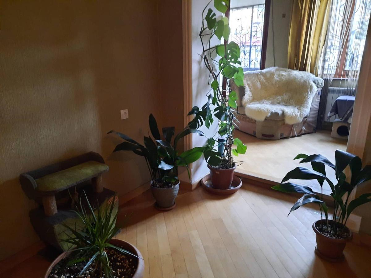 Tbilisi Philharmonia Apartment المظهر الخارجي الصورة